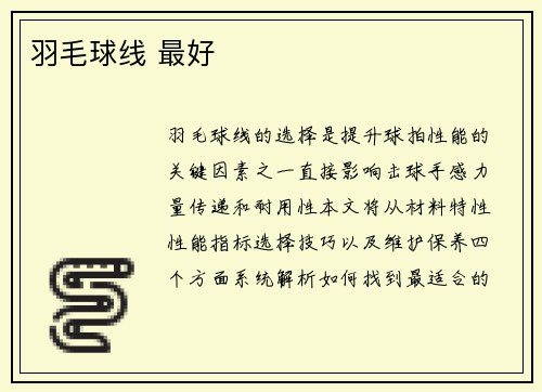 羽毛球线 最好